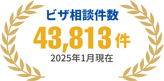 ビザ相談件数