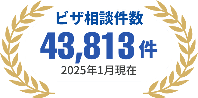 ビザ相談件数