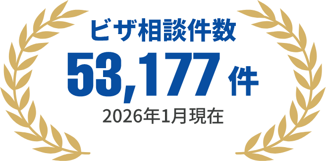 ビザ相談件数