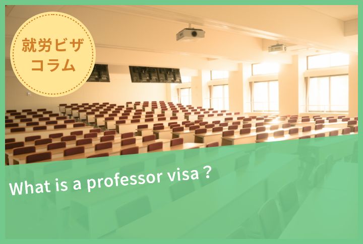 What is a professor visa？