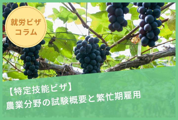 【特定技能ビザ】農業分野の試験概要と繁忙期雇用