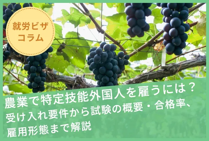 農業で特定技能外国人を雇うには？受け入れ要件から試験の概要・合格率、雇用形態まで解説