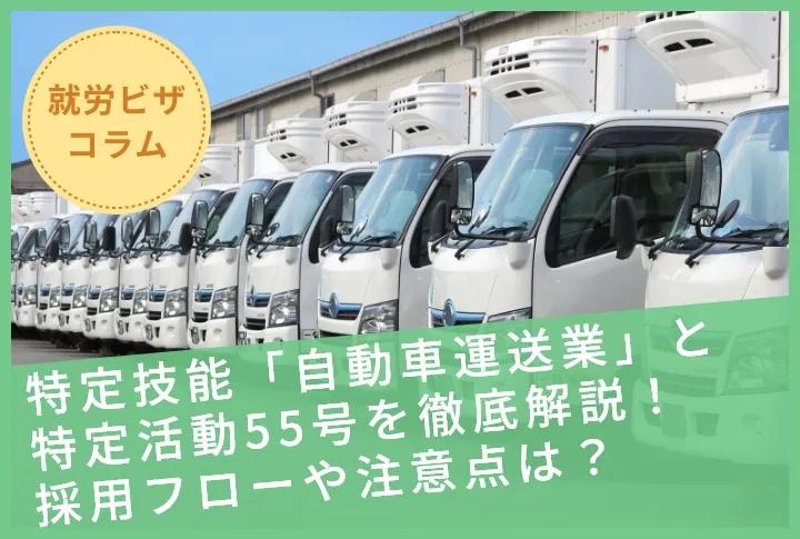 特定技能「自動車運送業」と特定活動55号を徹底解説！採用フローや注意点は？