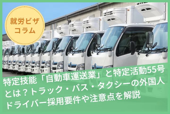特定技能「自動車運送業」と特定活動55号とは？トラック・バス・タクシーの外国人ドライバー採用要件や注意点を解説
