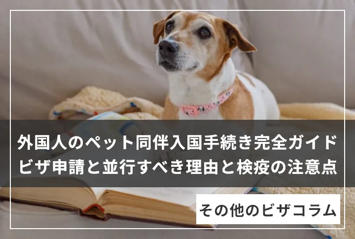 外国人のペット同伴入国手続き完全ガイド｜ビザ申請と並行すべき理由と検疫の注意点